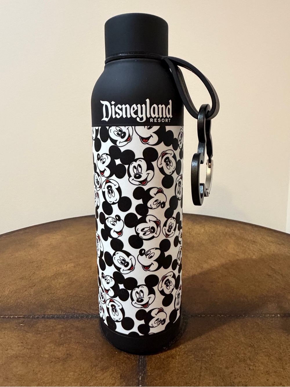 NEW DISNEYLAND RETRO STAINLESS STEEL WATER BOTTLE & MICKEY SHAPED CARABINER 21oz